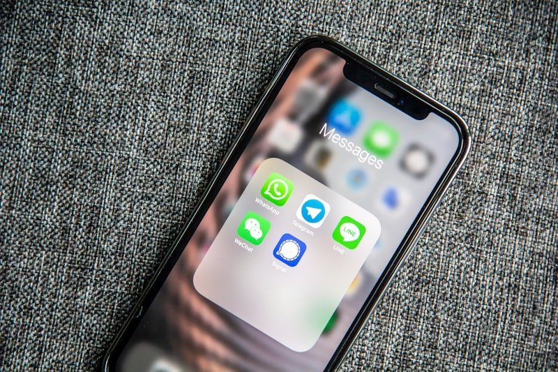 Malaysia's primary sales channel
